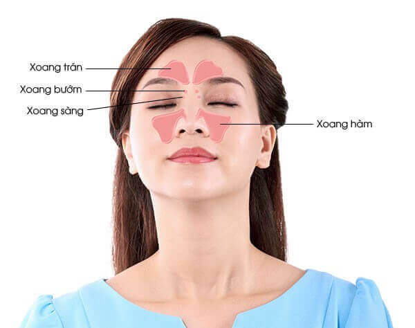 bệnh viêm mũi và viêm xoang
