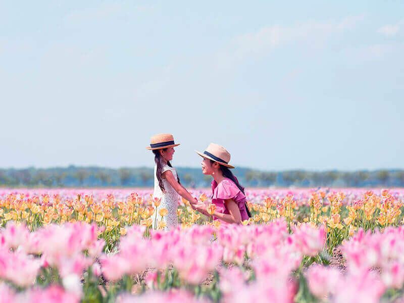 Tử vi tuần mới của 12 cung hoàng đạo