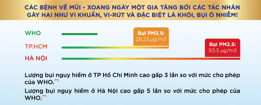 Bụi mịn PM2.5 và PM10 nguy hiểm thế nào, mẹ biết chưa? 36 Bụi mịn PM2.5 và PM10 nguy hiểm thế nào, mẹ biết chưa? 8
