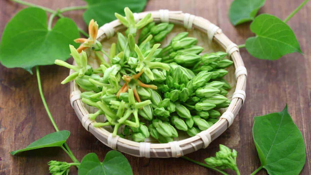 Mách bạn công thức hoa thiên lý xào thịt bò giúp thanh nhiệt mùa hè 37 Mách bạn công thức hoa thiên lý xào thịt bò giúp thanh nhiệt mùa hè 9