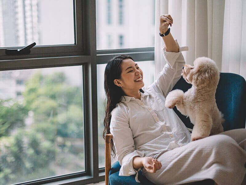tử vi tuần mới của 12 cung hoàng đạo