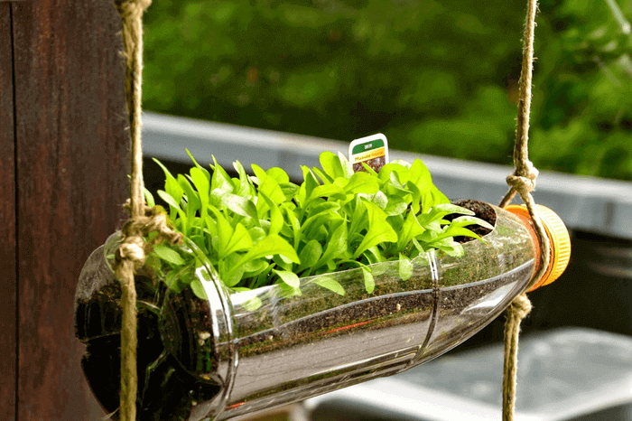 chai nhựa để trồng cây