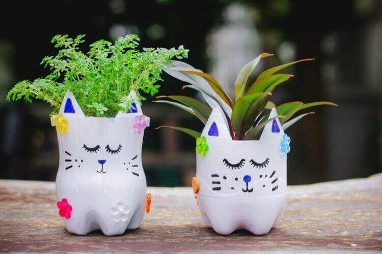 chai nhựa làm chậu hoa