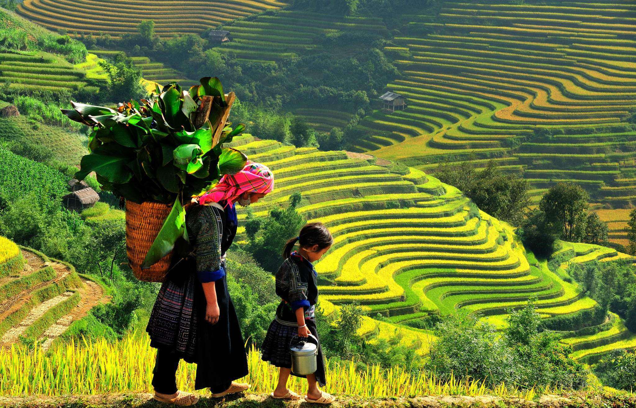 Tháng 1 nên đi du lịch ở đâu là tuyệt vời nhất ? 38 du lịch sapa