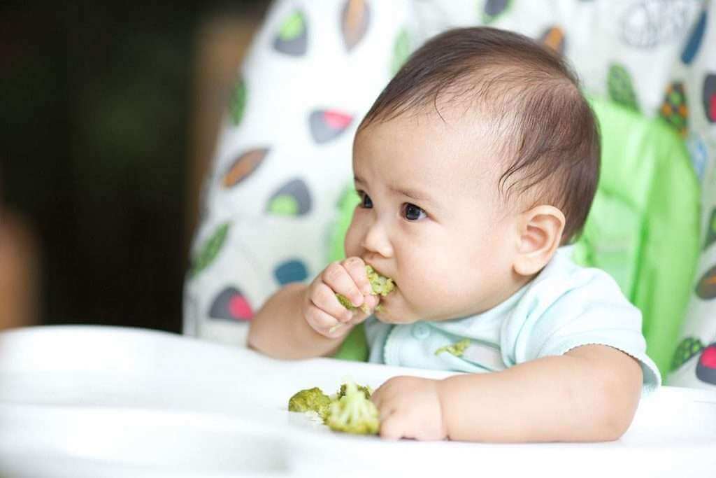 Để cho bé ăn dặm không còn là nguyên nhân khiến mẹ đau đầu nữa (Phần 2) 3