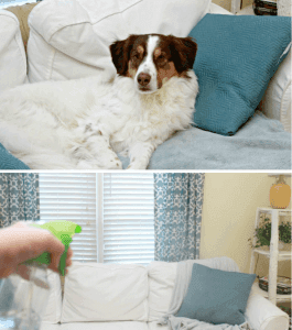 Refresh chiếc sofa nhà bạn