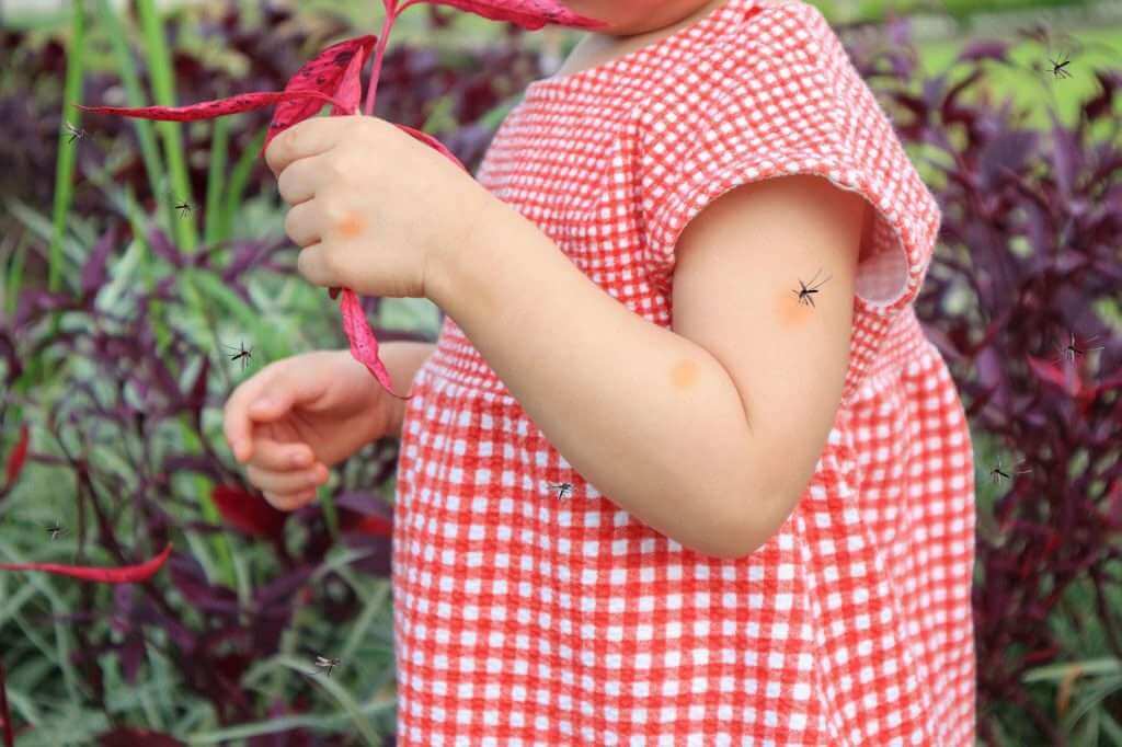 côn trùng cắn bôi thuốc gì