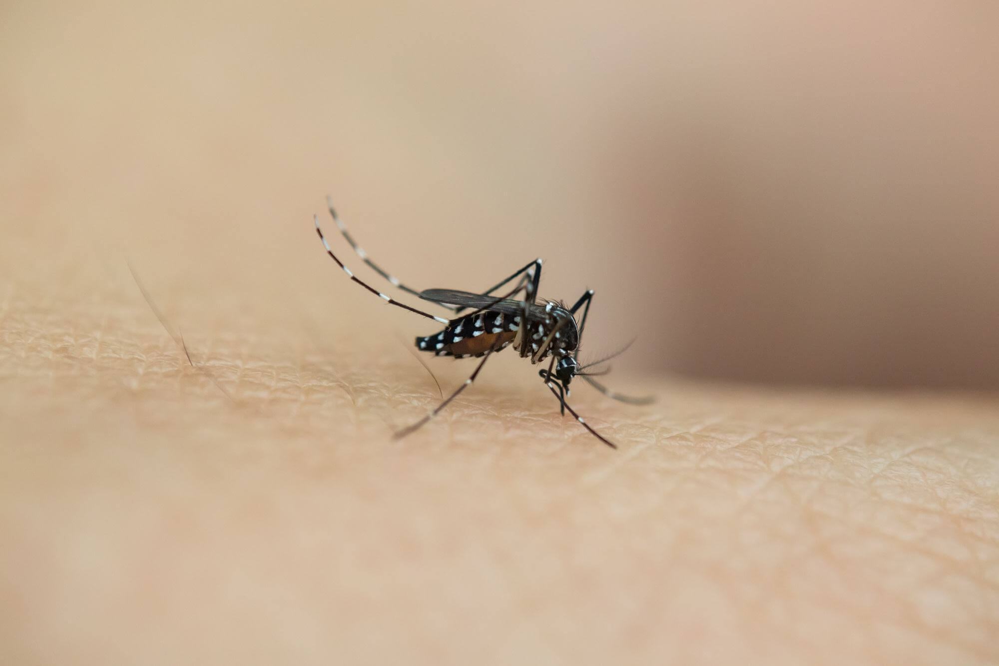 Mách mẹ cách phòng ngừa muỗi đốt, bảo vệ con khỏi virus lây bệnh nguy hiểm 34 phòng ngừa muỗi đốt