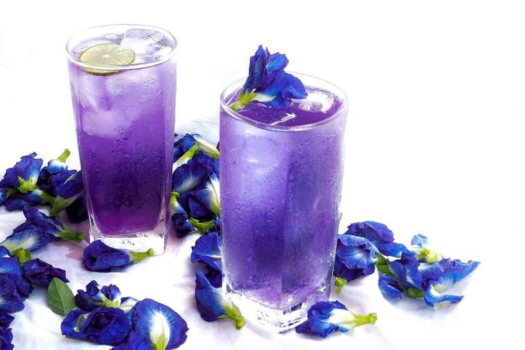 trà hoa đậu biếc