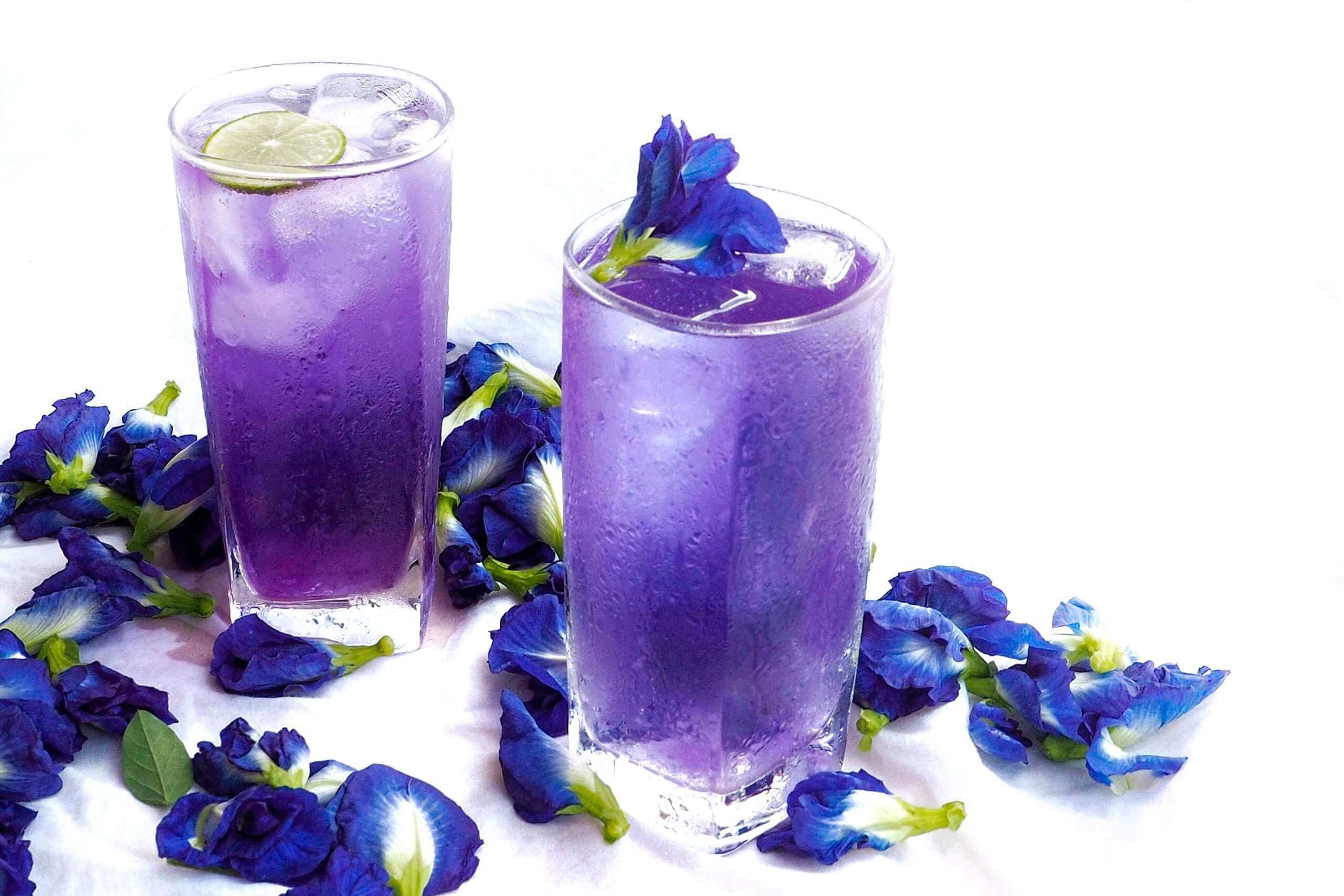 trà hoa đậu biếc