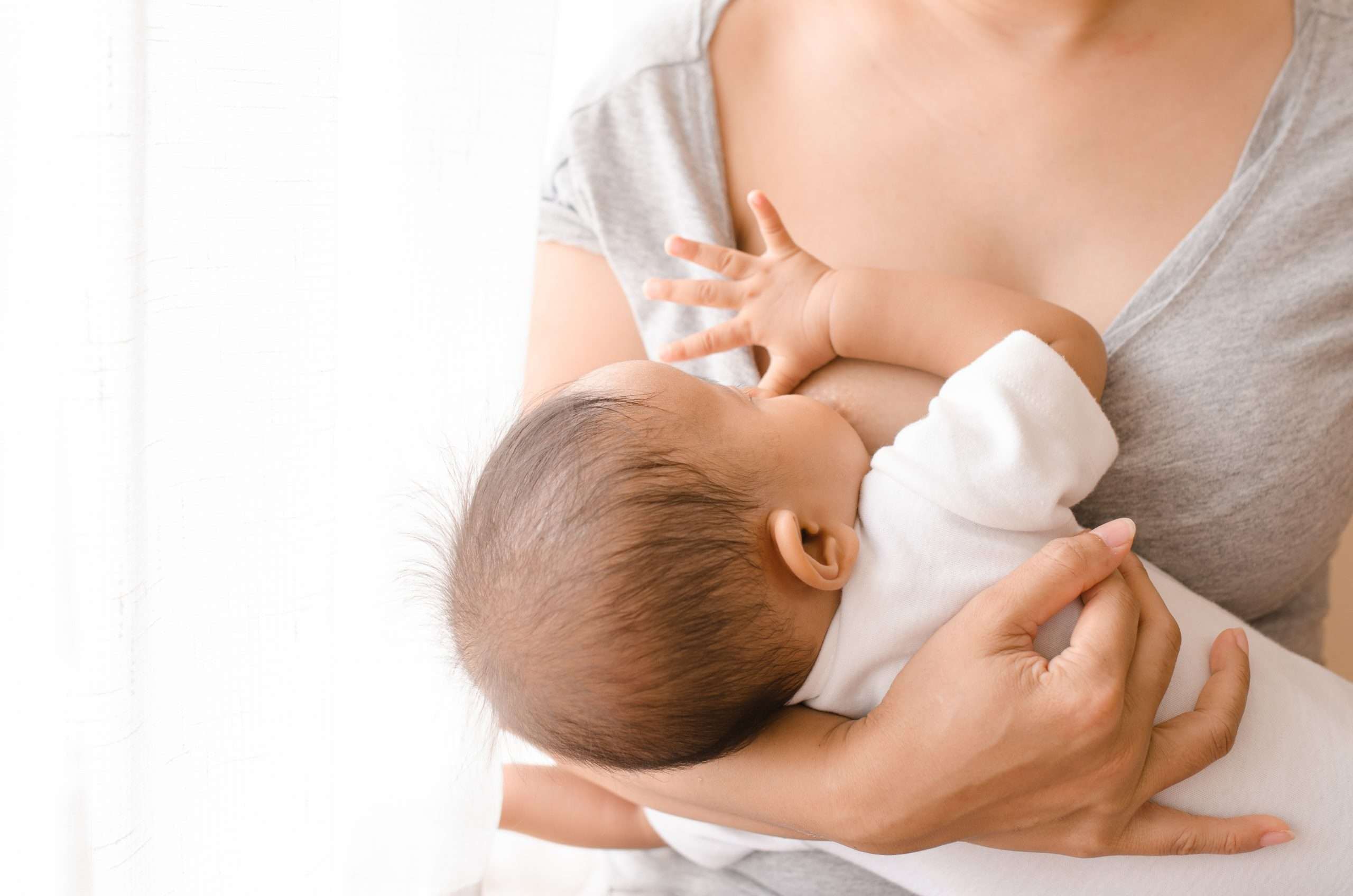 Muốn sữa thơm và đặc, tích cực uống nước lá đinh lăng sau sinh mẹ ơi! 35 uống nước lá đinh lăng lợi sữa