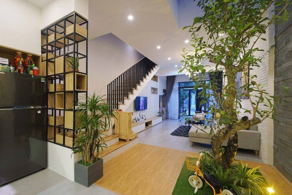cây trồng trong nhà