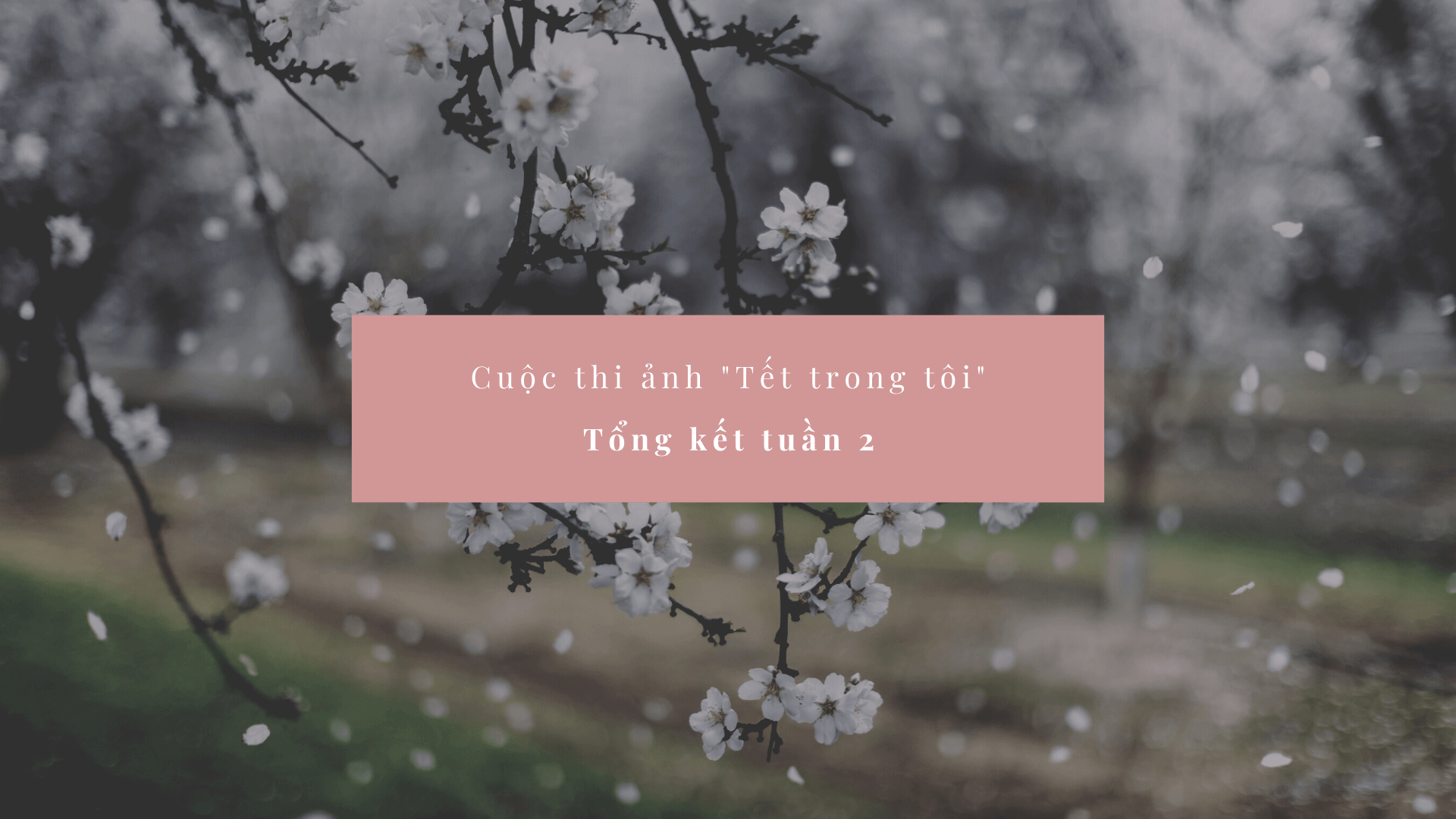 [Tổng kết tuần 2] Cuộc thi ảnh "Tết trong tôi" của Tạp chí Mẹ và Con 4