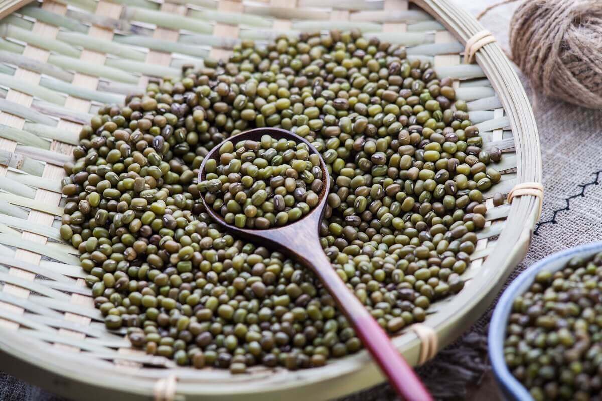 Bia và sữa đặc - Cách kích sữa mẹ sau sinh hiệu quả? 38 các loại đậu