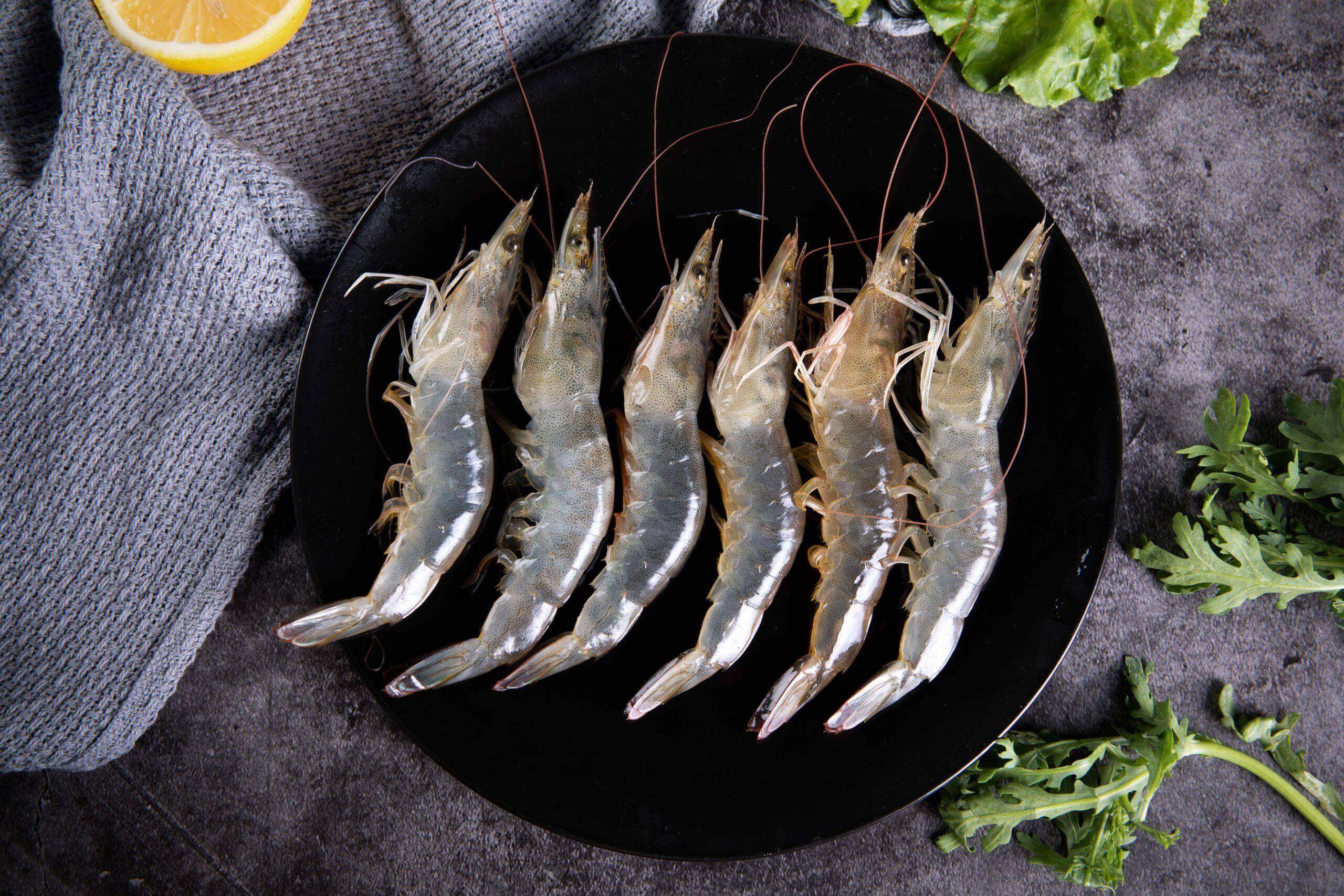 điều trị rối loạn lo âu