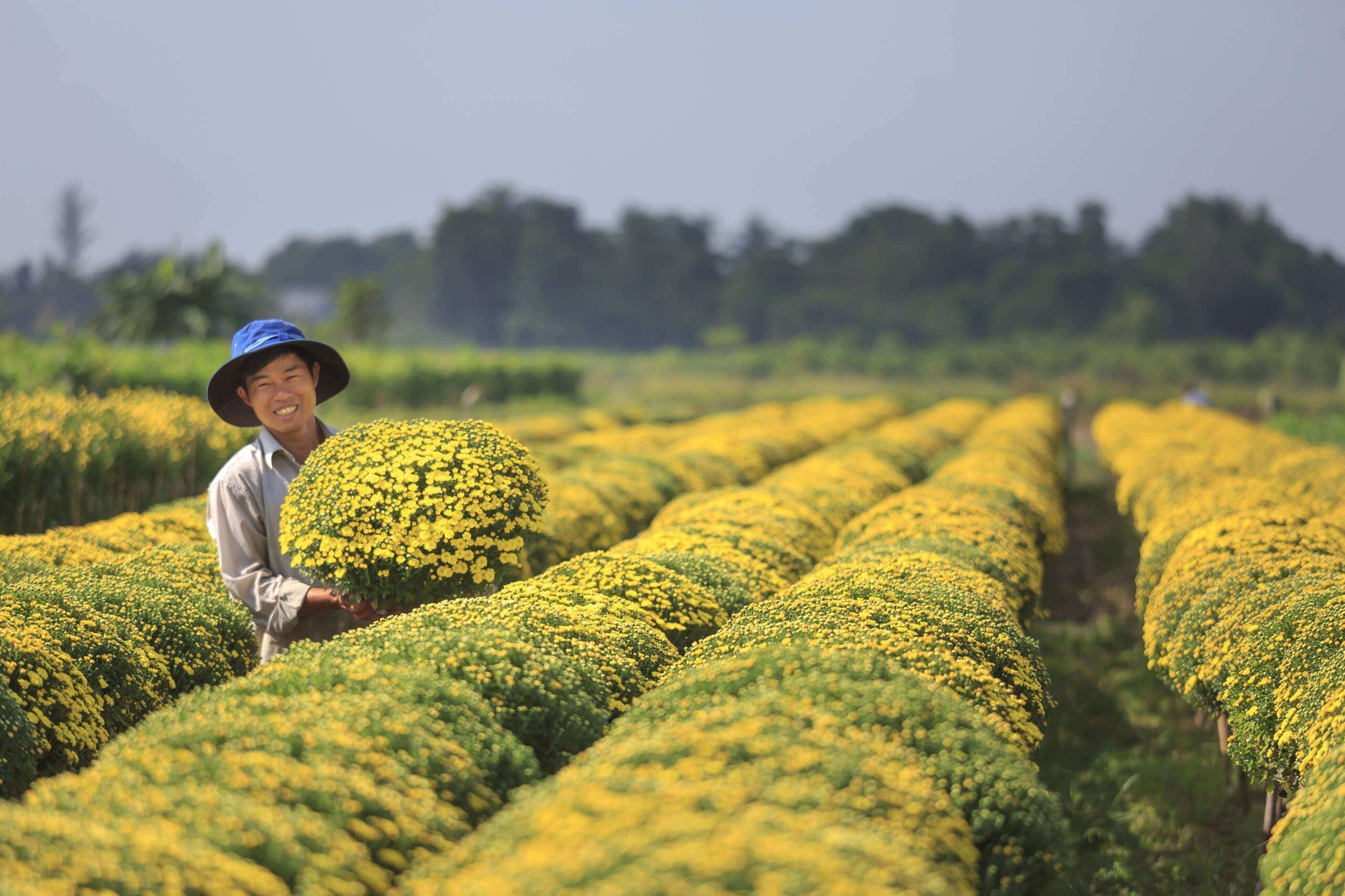 Tết nguyên đán đang đến rất gần rồi, bạn đã biết chưa? 3