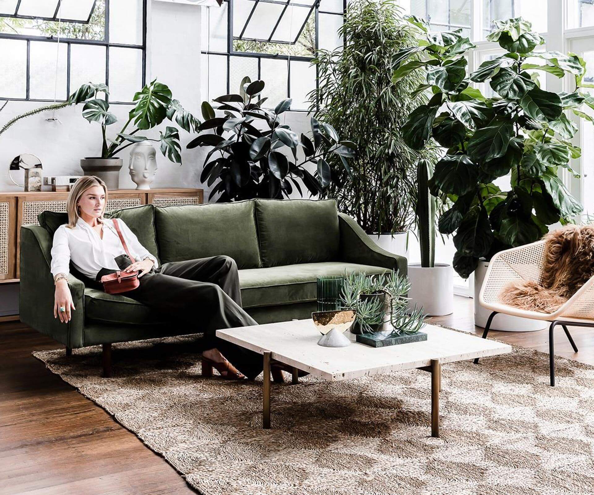 Cây trồng trong nhà - giải pháp thư giãn cho gia đình bận rộn 37 cây trồng trong nhà