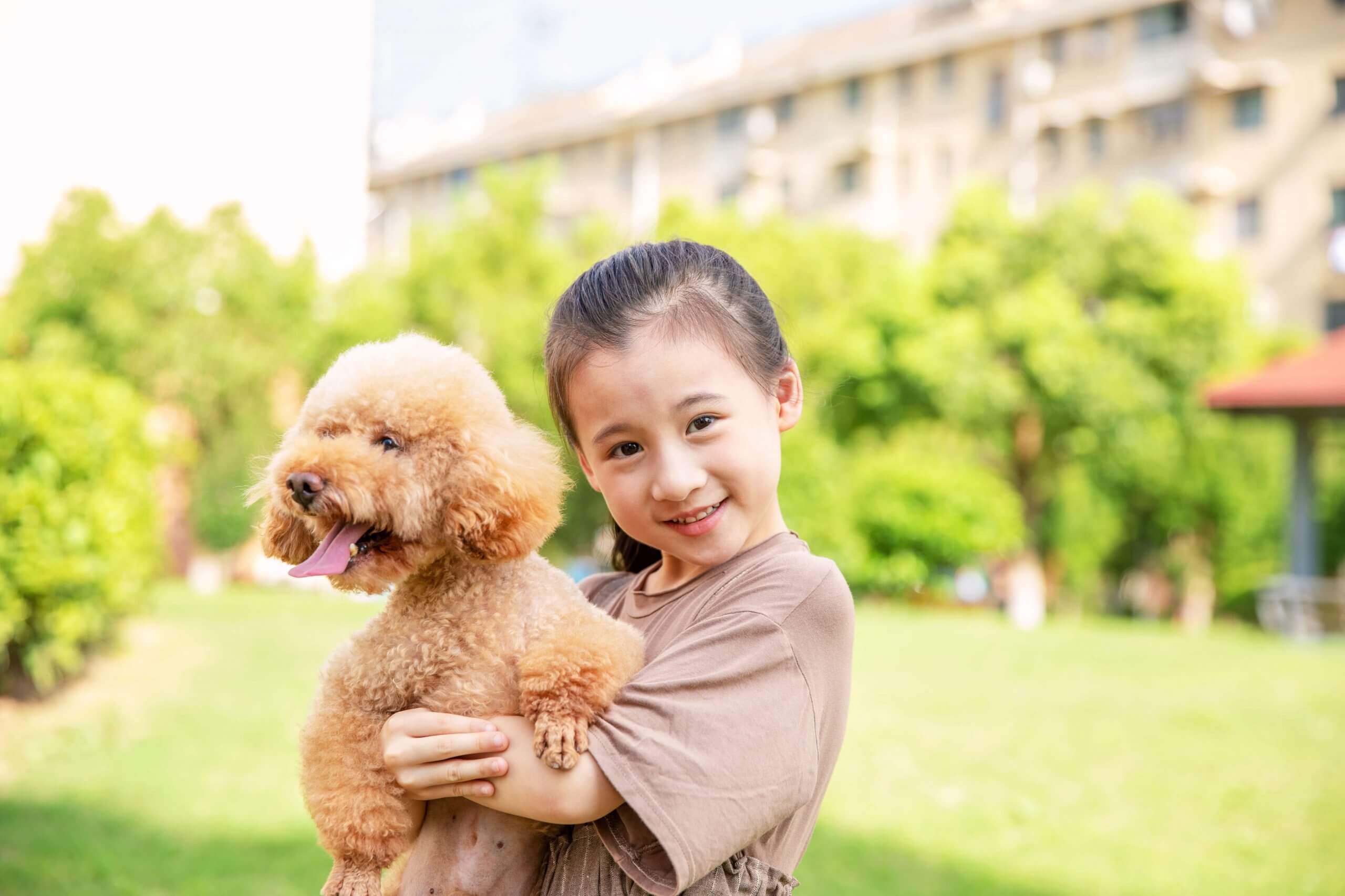 Cách nuôi chó an toàn cho gia đình có con nhỏ và những điều mẹ cần lưu ý 39 cách nuôi chó