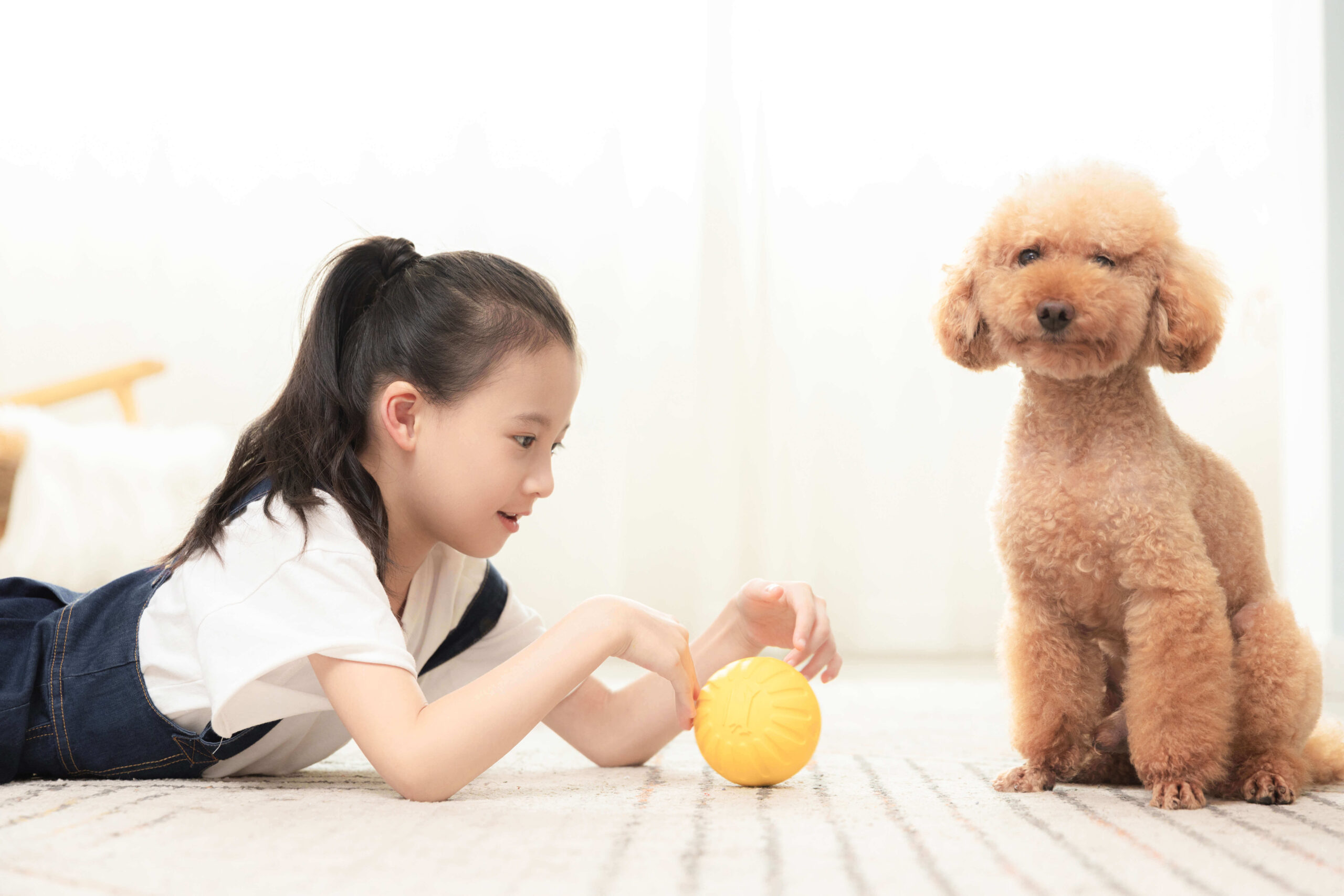 Nuôi chó trong nhà có trẻ nhỏ, ba mẹ cần nhớ 5 nguyên tắc này! 22 nuôi chó trong nhà