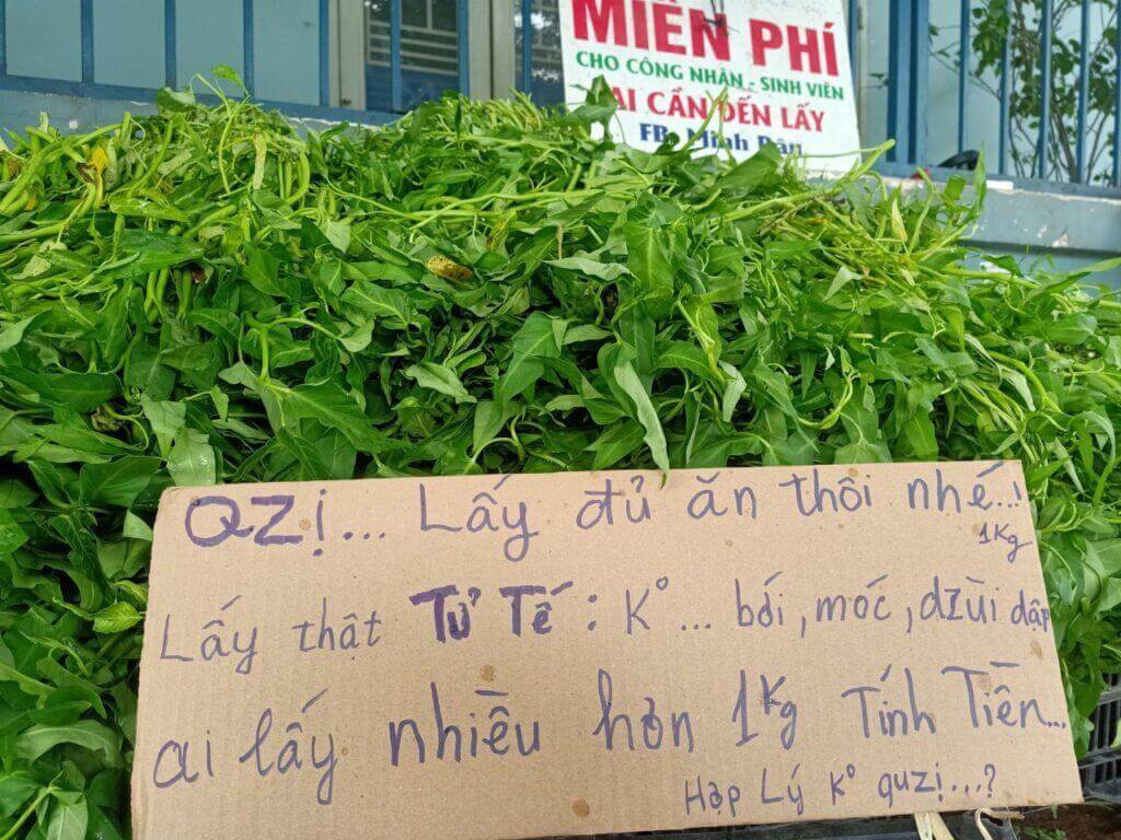 Anh Minh bán rau nổi tiếng cộng đồng mạng từ chối nhận tiền ủng hộ 3