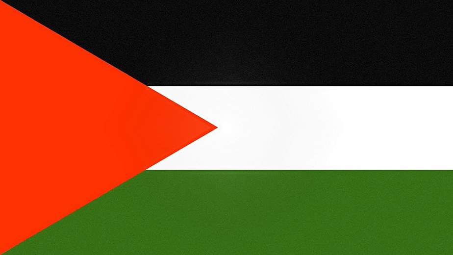 Quốc kỳ của các quốc gia trên thế giới, mẹ chỉ ngay cho bé yêu nhé! (Phần 1) 120 Palestine flag