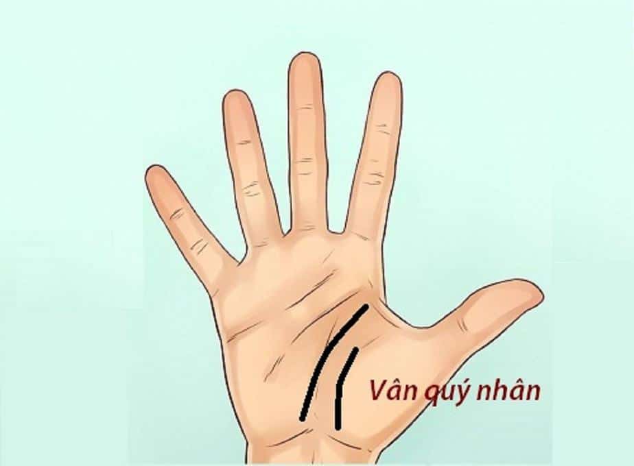 vân quý nhân phù trợ