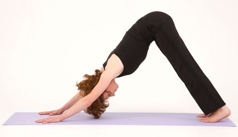 Tập yoga mùa dịch với các tư thế này để giảm lo âu và căng thẳng 40 tư thế chó úp mặt