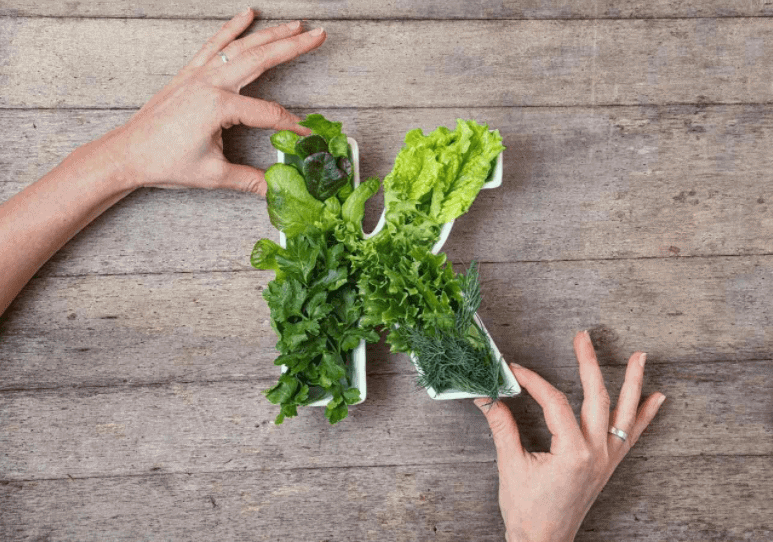 Vitamin K có thể giúp bạn chống lại Covid-19 vì những lợi ích này 36 bổ sung vitamin K