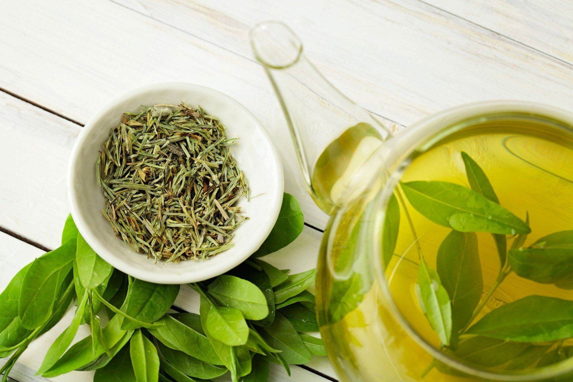 Công thức làm đẹp bằng nha đam, giúp da trắng mịn trong 1 tuần 37 làm đẹp tự nhiên