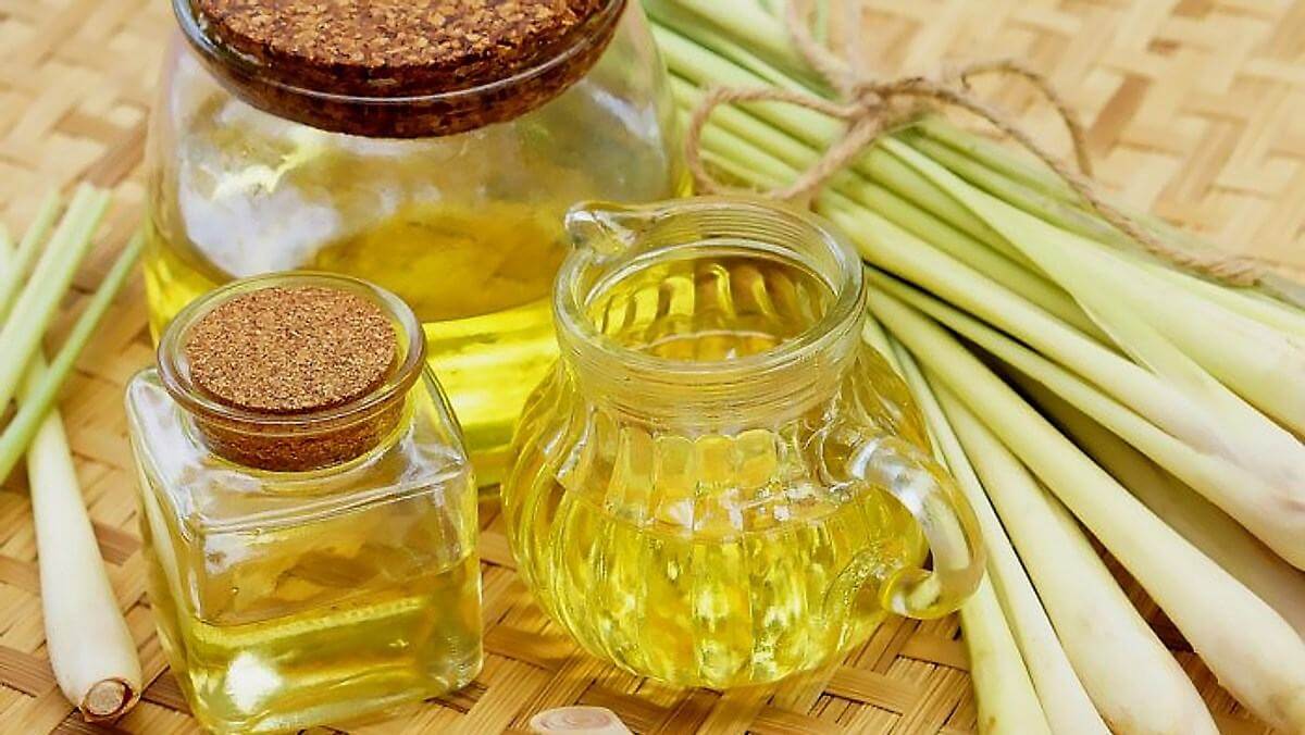 Cách làm tinh dầu đuổi kiến ba khoang và côn trùng hiệu quả 35 cách làm tinh dầu đuổi côn trùng