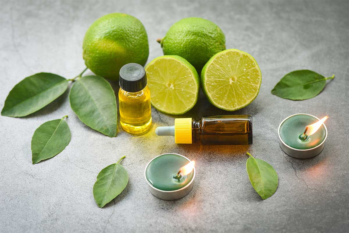 Cách làm tinh dầu đuổi kiến ba khoang và côn trùng hiệu quả 36 tinh dầu đuổi kiến ba khoang