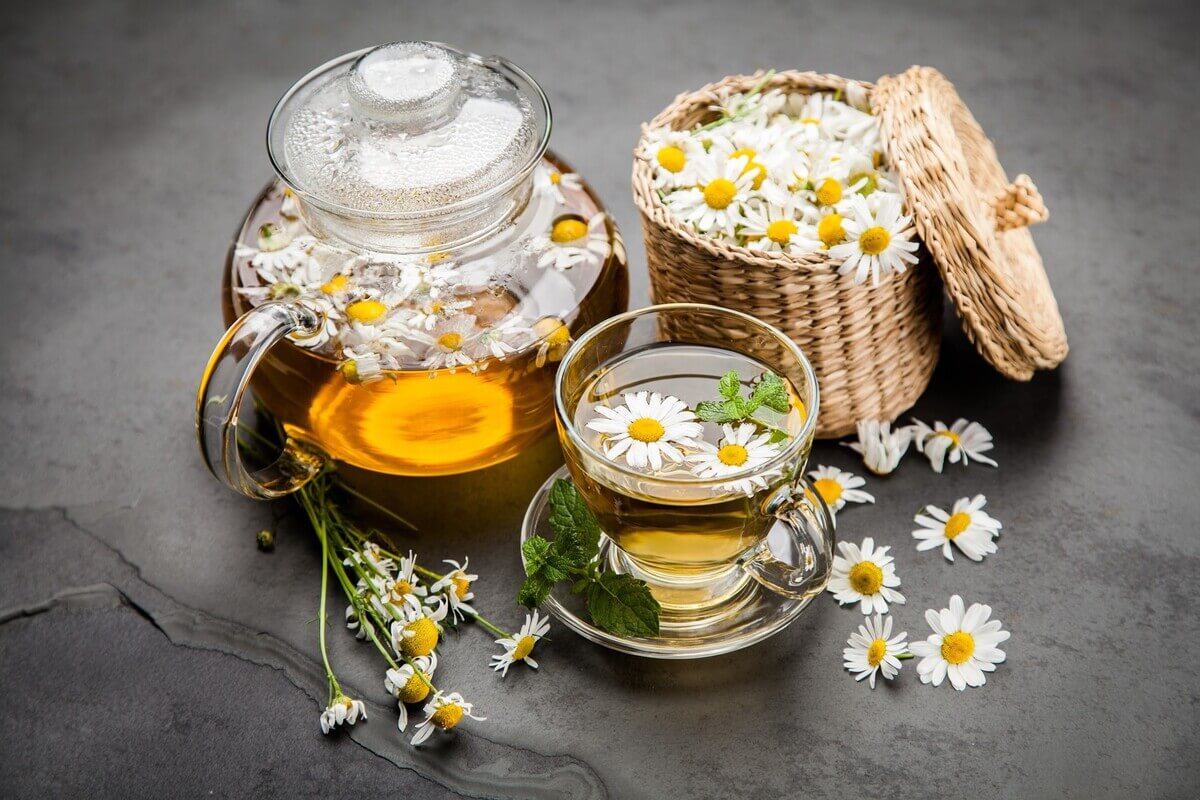 Cúc họa mi tinh khôi và những công dụng bất ngờ cho sức khỏe 36 công dụng cúc họa mi