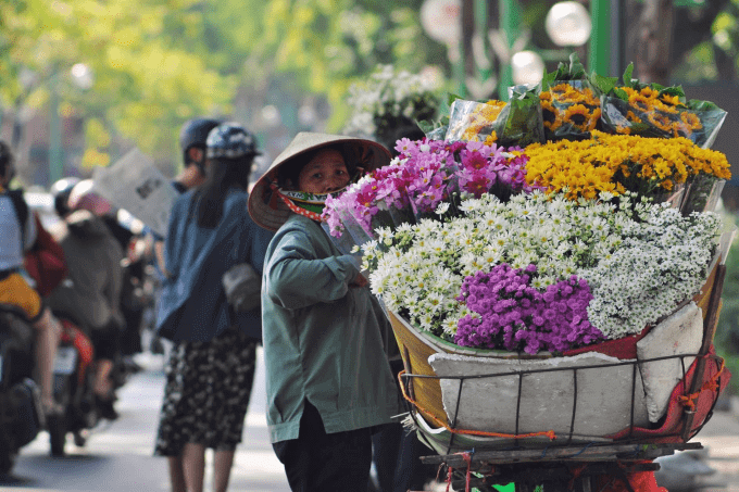 Hà Nội: Tinh khôi mùa cúc họa mi 44 cúc họa mi
