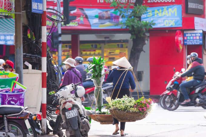 Hà Nội: Tinh khôi mùa cúc họa mi 45 hoa cúc