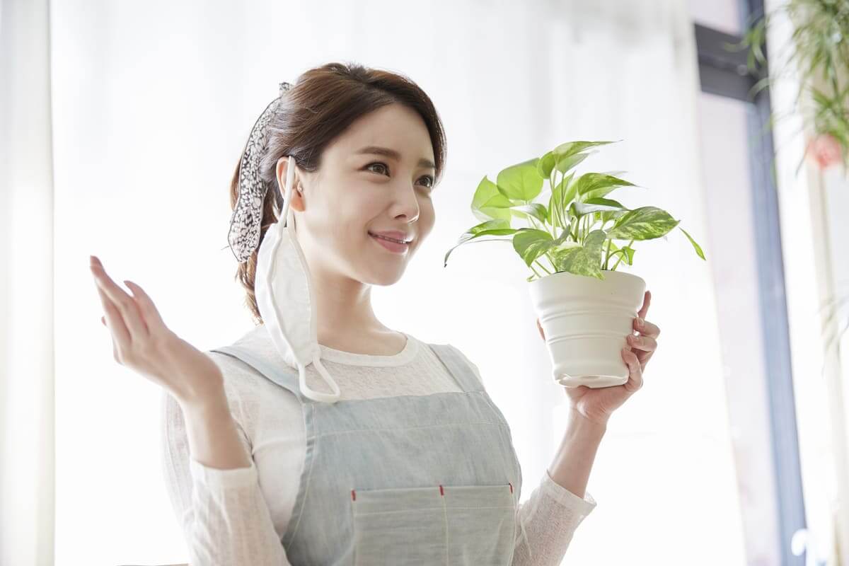 “Bí kíp” giúp giảm ô nhiễm không khí trong nhà đón “bình thường mới” 36 ô nhiễm môi trường