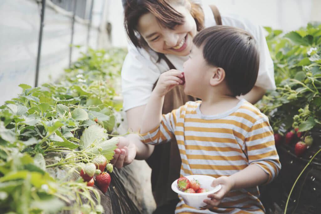 thực phẩm organic