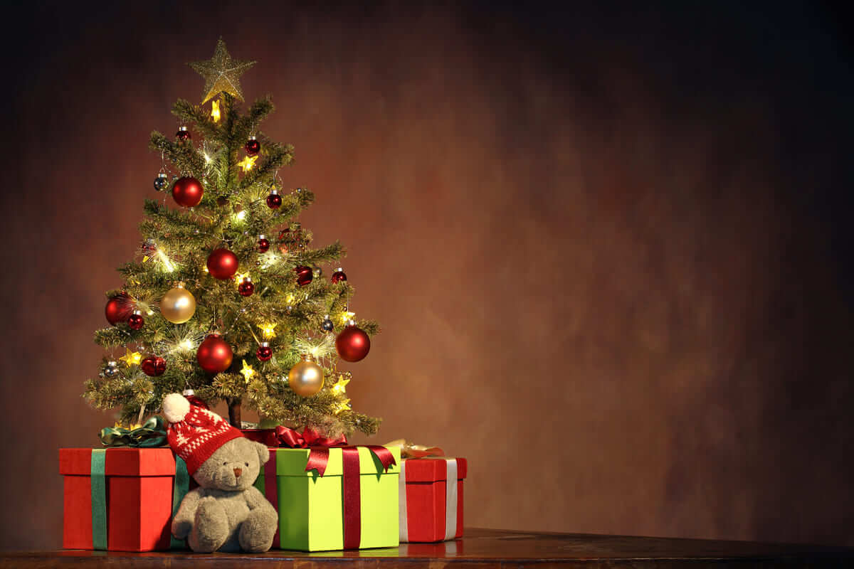 cây thông noel