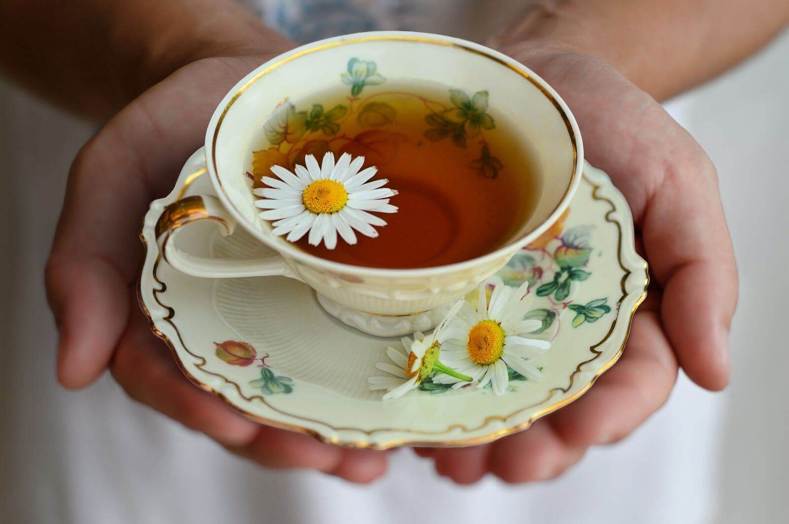 lợi ích trà thảo mộc