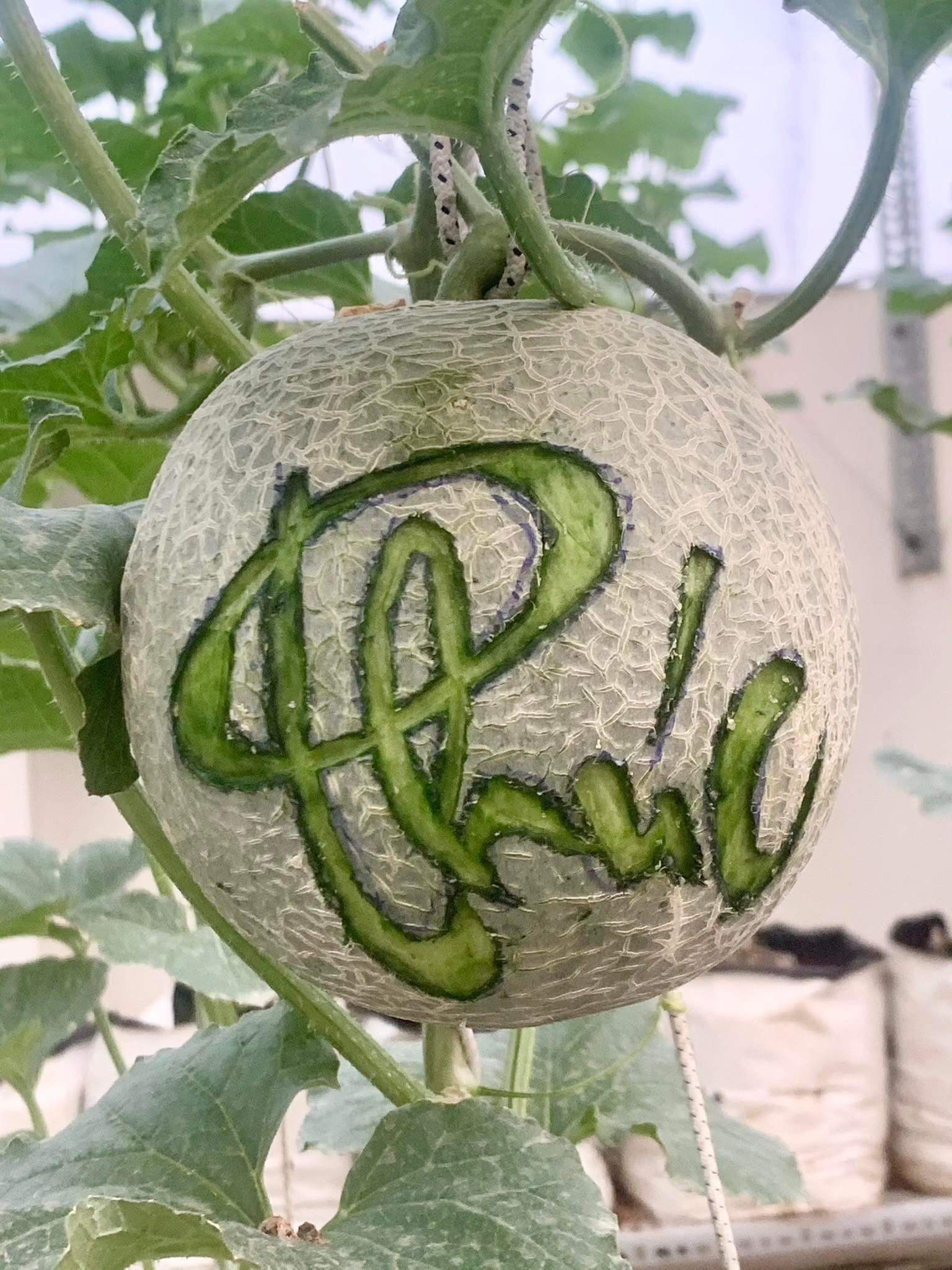Ngỡ ngàng với những khu vườn sân thượng đón tết đẹp như mơ 56 Ngỡ ngàng với những khu vườn sân thượng đón tết đẹp như mơ 36