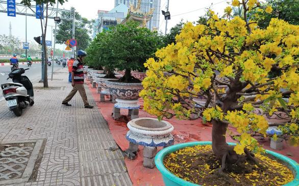 TP.HCM: Hội hoa xuân sẽ diễn ra từ ngày 27-1 đến 6-2 7