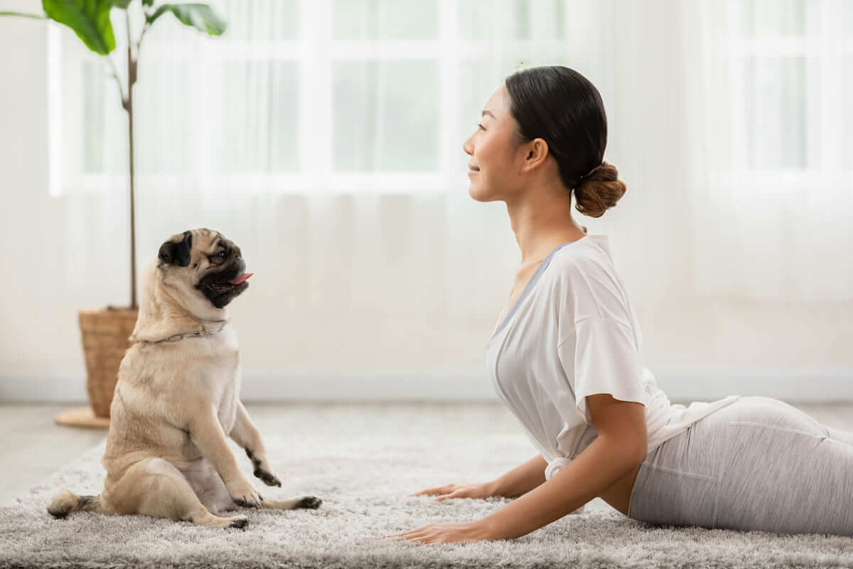 Đừng để năm mới mất vui vì các bệnh ngày Tết thường gặp này, bạn nhé! 39 các loại bệnh ngày tết