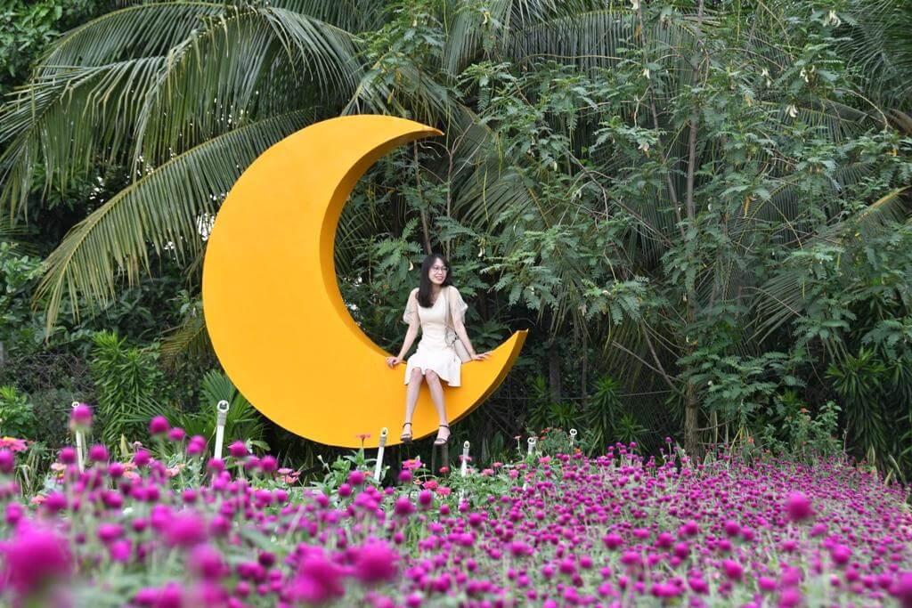 Rủ nhau sống ảo với cánh đồng muôn hoa khoe sắc giữa lòng TP.HCM 68 Rủ nhau sống ảo với cánh đồng muôn hoa khoe sắc giữa lòng TP.HCM 48