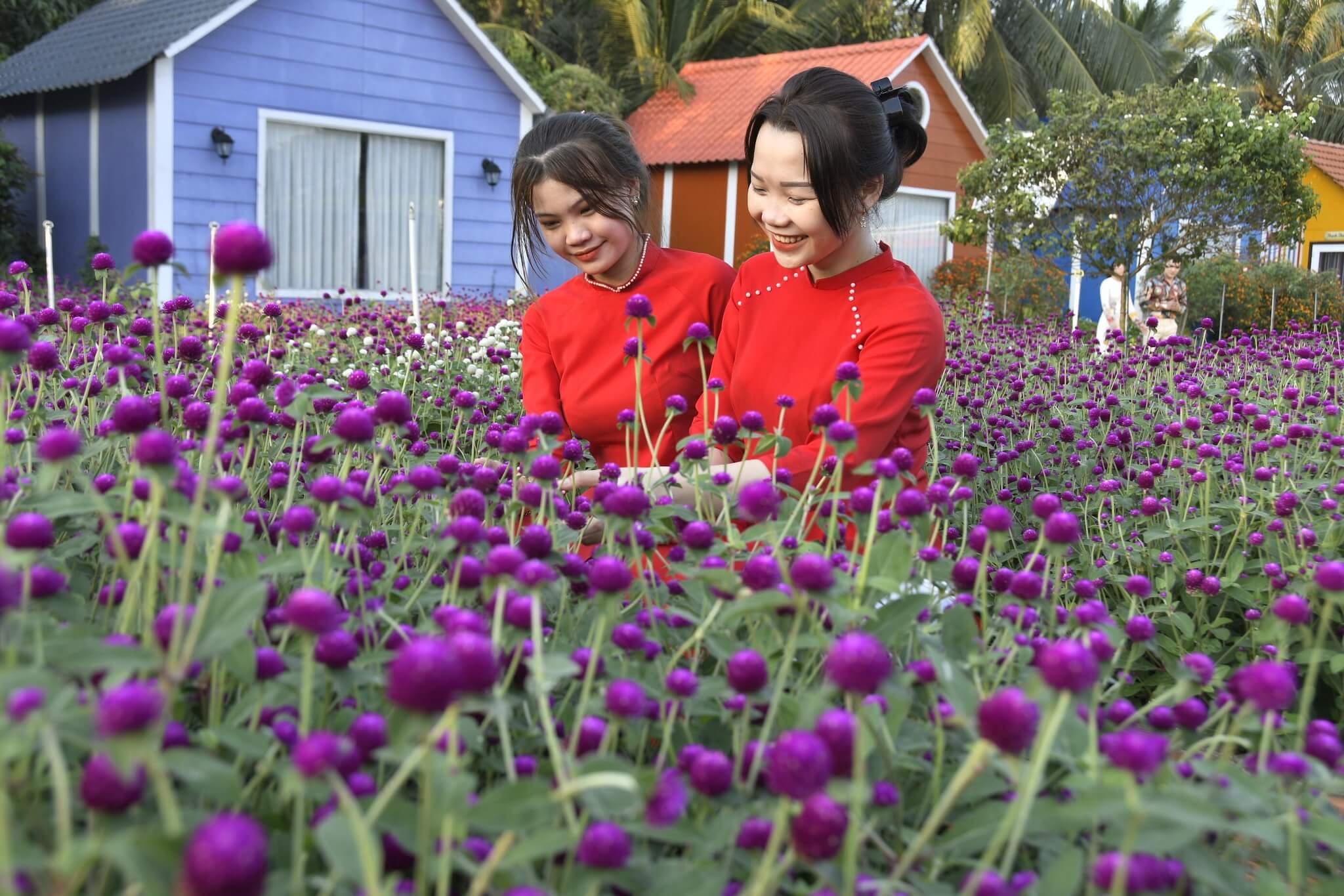 Rủ nhau sống ảo với cánh đồng muôn hoa khoe sắc giữa lòng TP.HCM 5