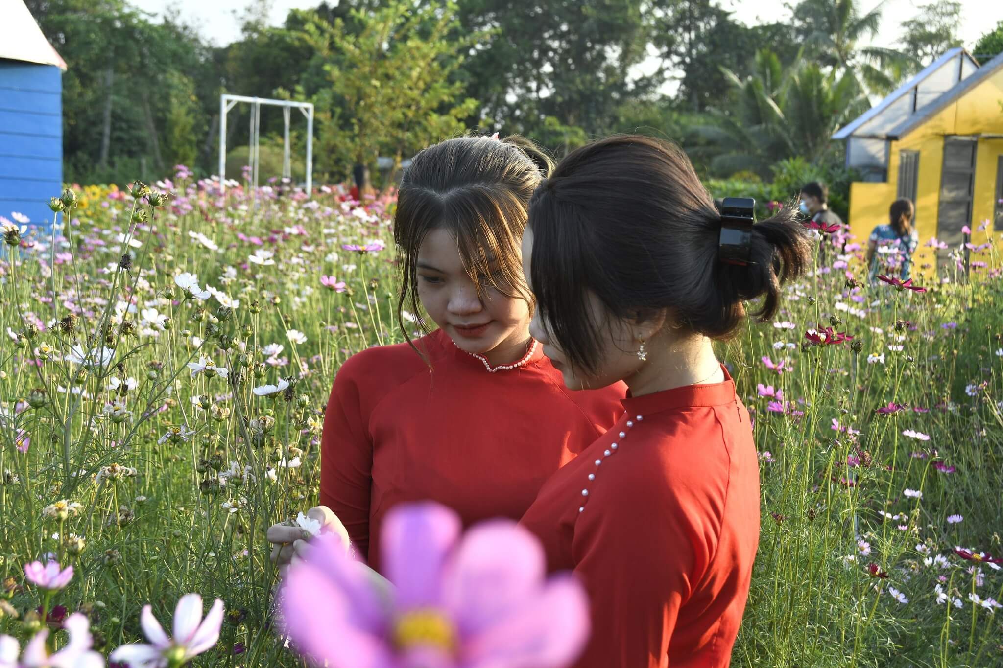 Rủ nhau sống ảo với cánh đồng muôn hoa khoe sắc giữa lòng TP.HCM 73 Rủ nhau sống ảo với cánh đồng muôn hoa khoe sắc giữa lòng TP.HCM 53