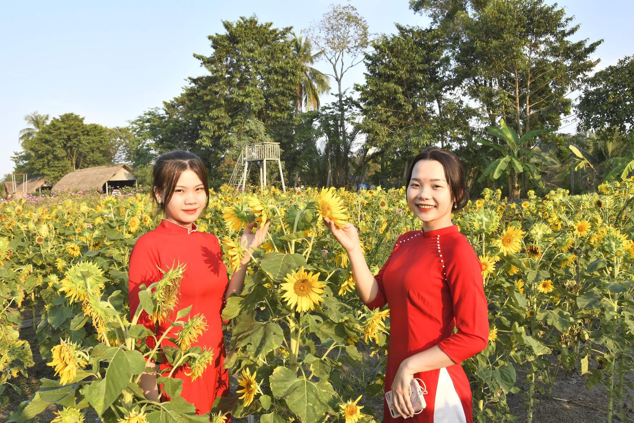 Rủ nhau sống ảo với cánh đồng muôn hoa khoe sắc giữa lòng TP.HCM 69 Rủ nhau sống ảo với cánh đồng muôn hoa khoe sắc giữa lòng TP.HCM 49