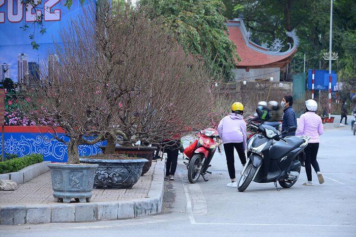 Không khí Tết nhộn nhịp tại khu chợ hoa xuân sớm nhất của Thủ đô 49 Không khí Tết nhộn nhịp tại khu chợ hoa xuân sớm nhất của Thủ đô 21