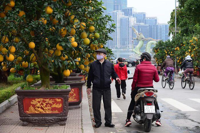 Không khí Tết nhộn nhịp tại khu chợ hoa xuân sớm nhất của Thủ đô 50 Không khí Tết nhộn nhịp tại khu chợ hoa xuân sớm nhất của Thủ đô 22