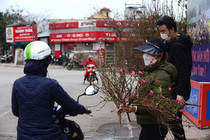 Không khí Tết nhộn nhịp tại khu chợ hoa xuân sớm nhất của Thủ đô 3