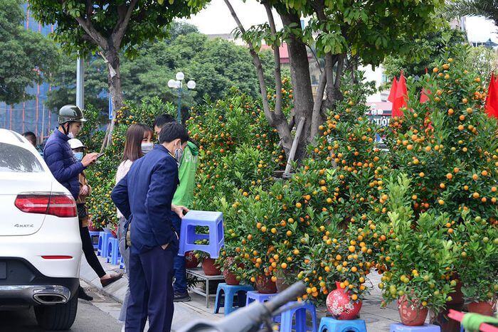 Không khí Tết nhộn nhịp tại khu chợ hoa xuân sớm nhất của Thủ đô 45 Không khí Tết nhộn nhịp tại khu chợ hoa xuân sớm nhất của Thủ đô 17