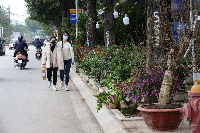 Không khí Tết nhộn nhịp tại khu chợ hoa xuân sớm nhất của Thủ đô 46 Không khí Tết nhộn nhịp tại khu chợ hoa xuân sớm nhất của Thủ đô 18